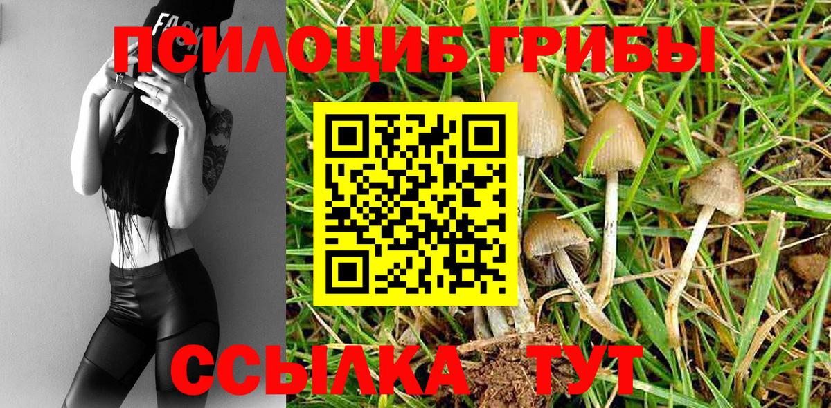 где продают наркотики  Вход с VPN  Псилоцибиновые грибы Psilocybine cubensis  Коломна  Псилоцибиновые грибы мицелий 